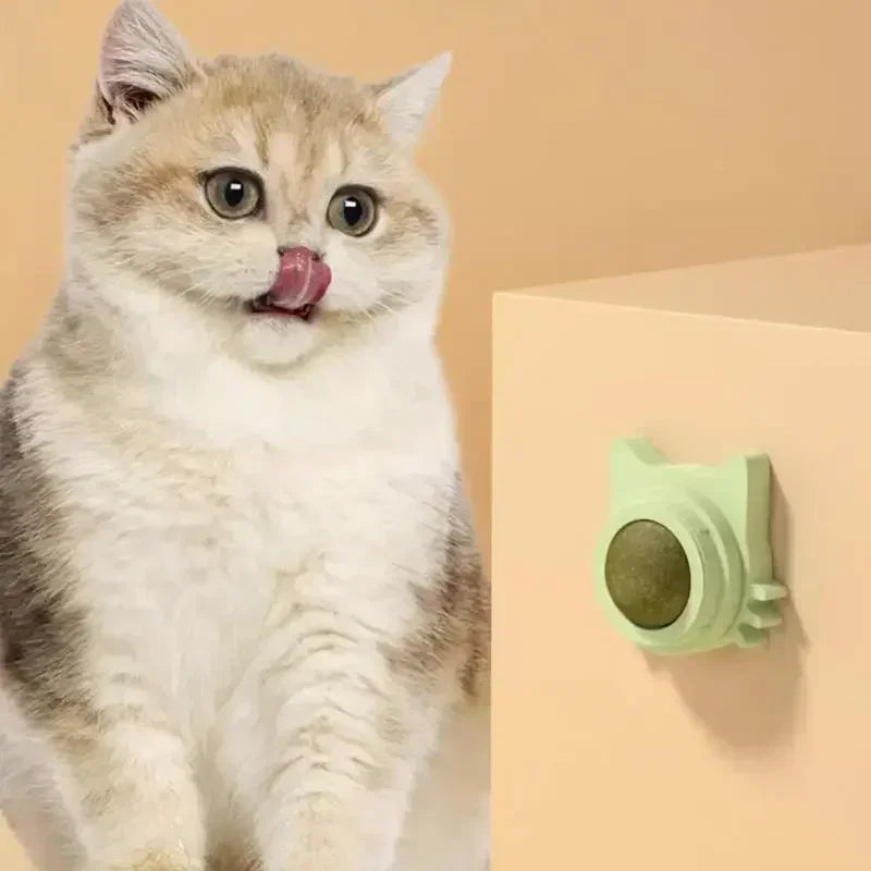 Catnip Balls Funny Lickable Cat Snack Catnip Balls Kitten Playing Chewing Cleaning Teeth Toy For Small Medium Cats Pet Supplies