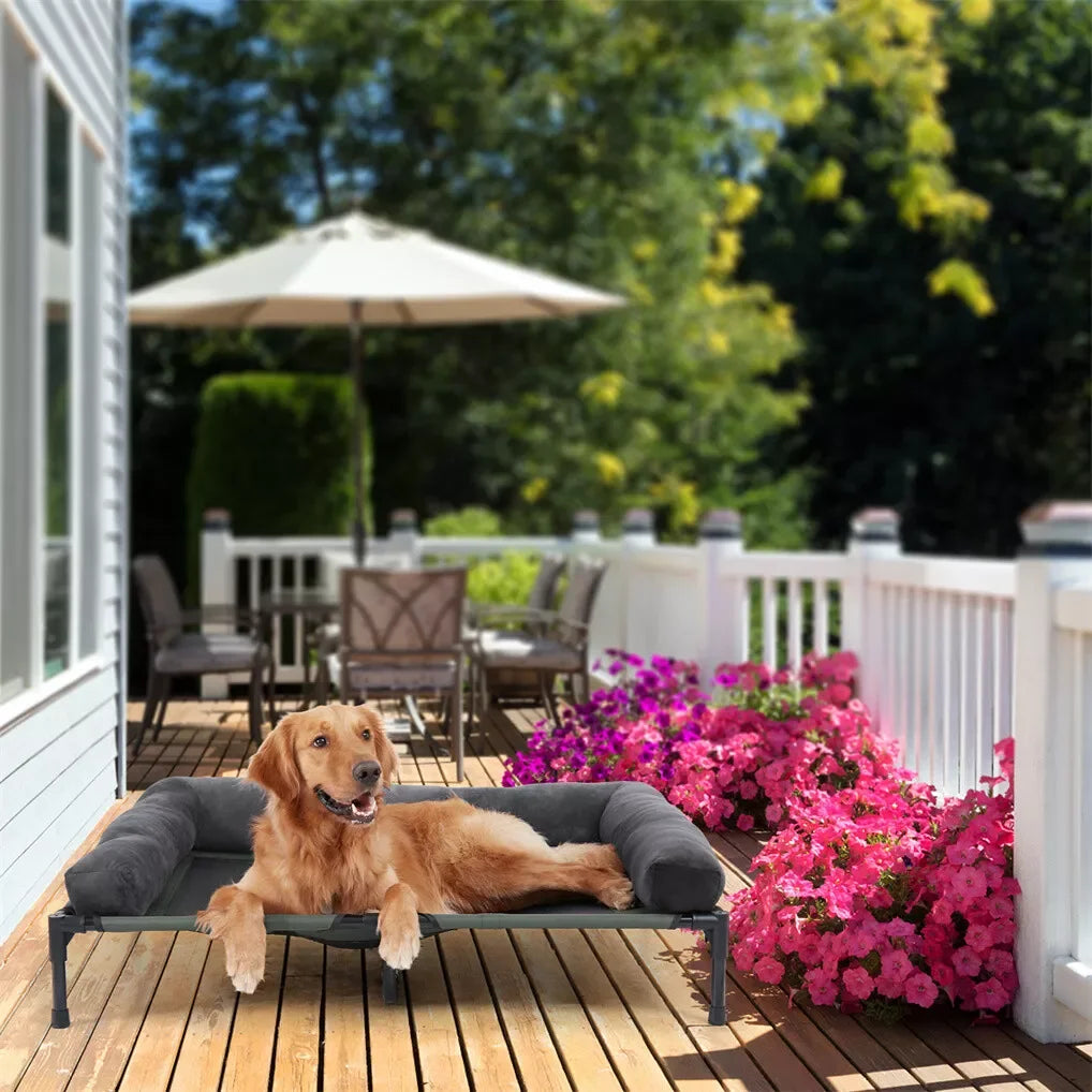 Outdoor Elevated Dog Bed