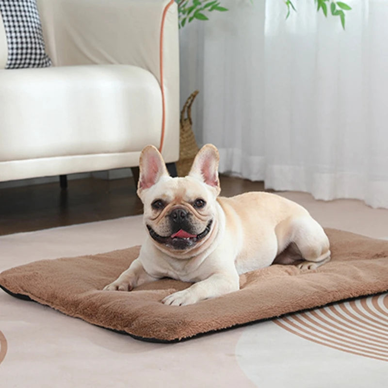 Pet Bed Short Plush  Heated