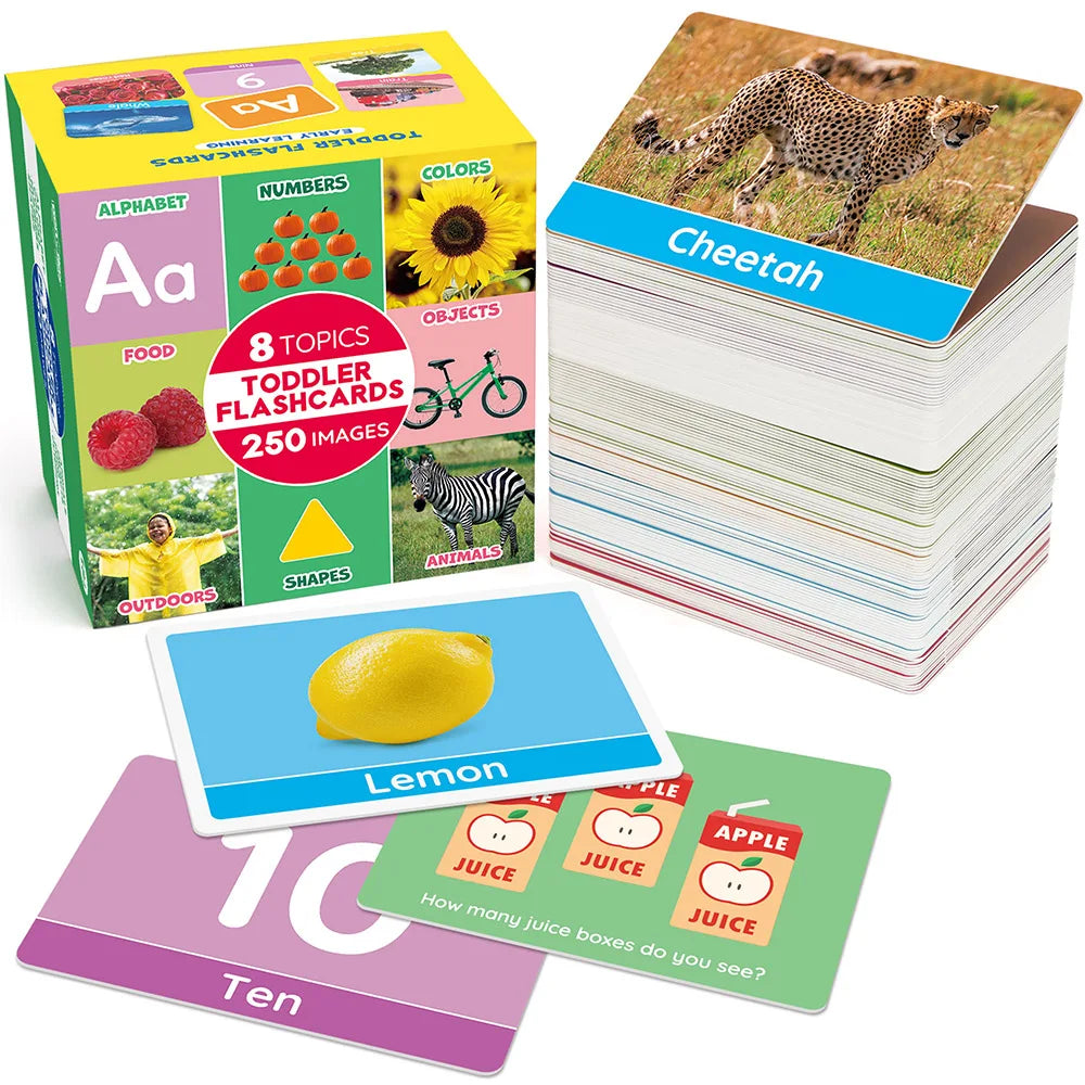 Double-Sided Educational Flashcards