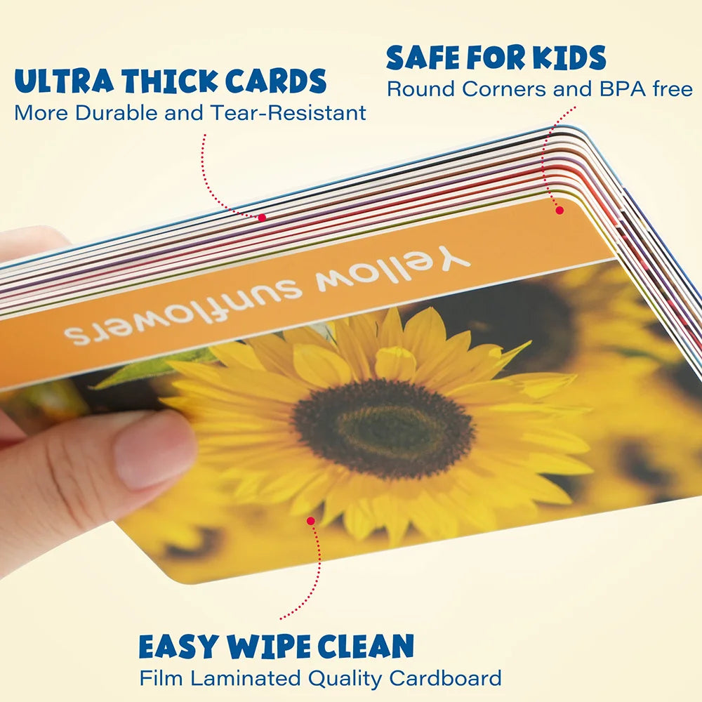 Double-Sided Educational Flashcards