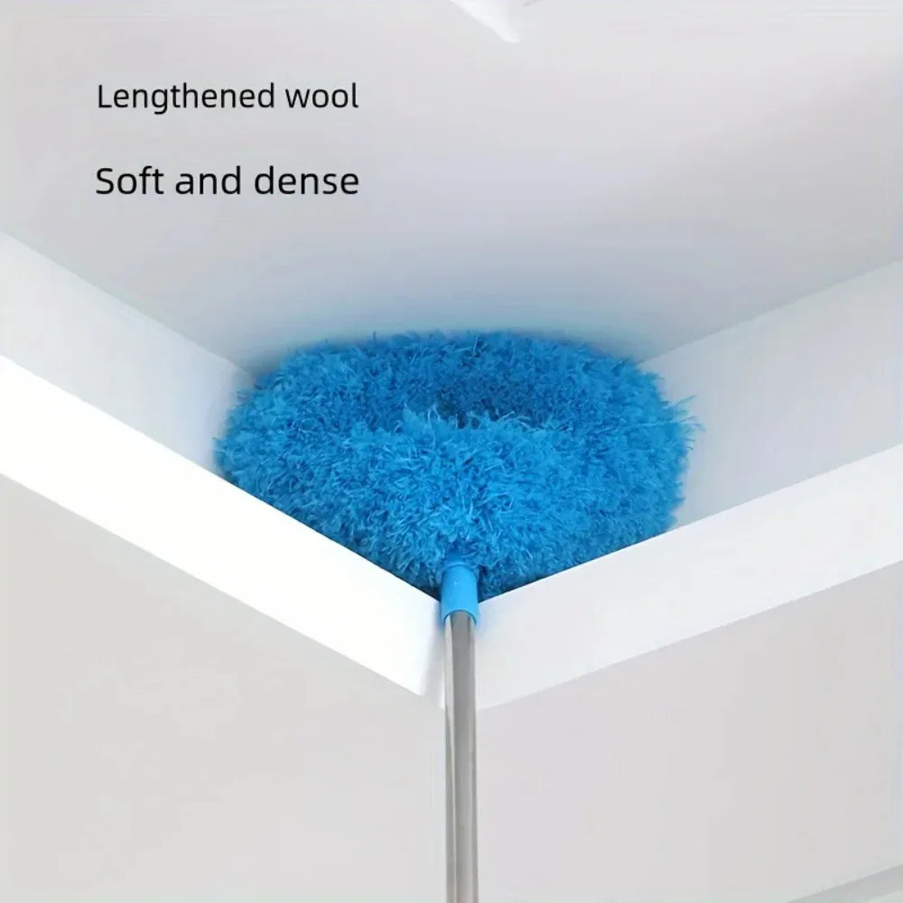 Chicken Feather Duster