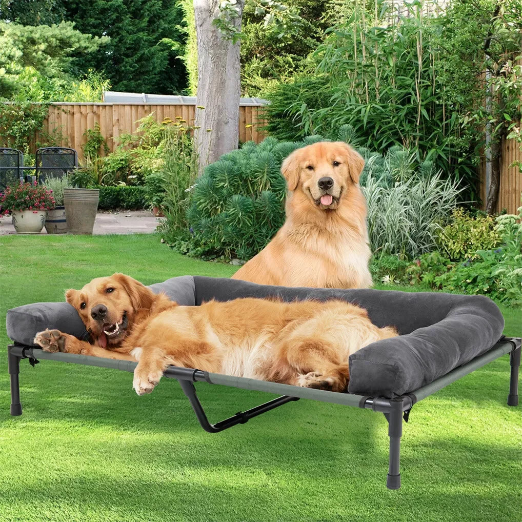 Outdoor Elevated Dog Bed