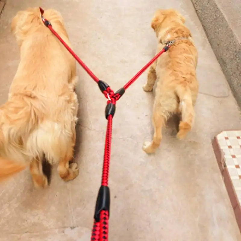 Two Double Dogs Leashes