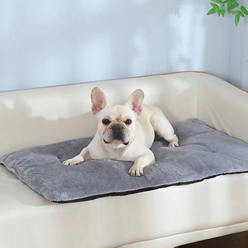 Pet Bed Short Plush  Heated
