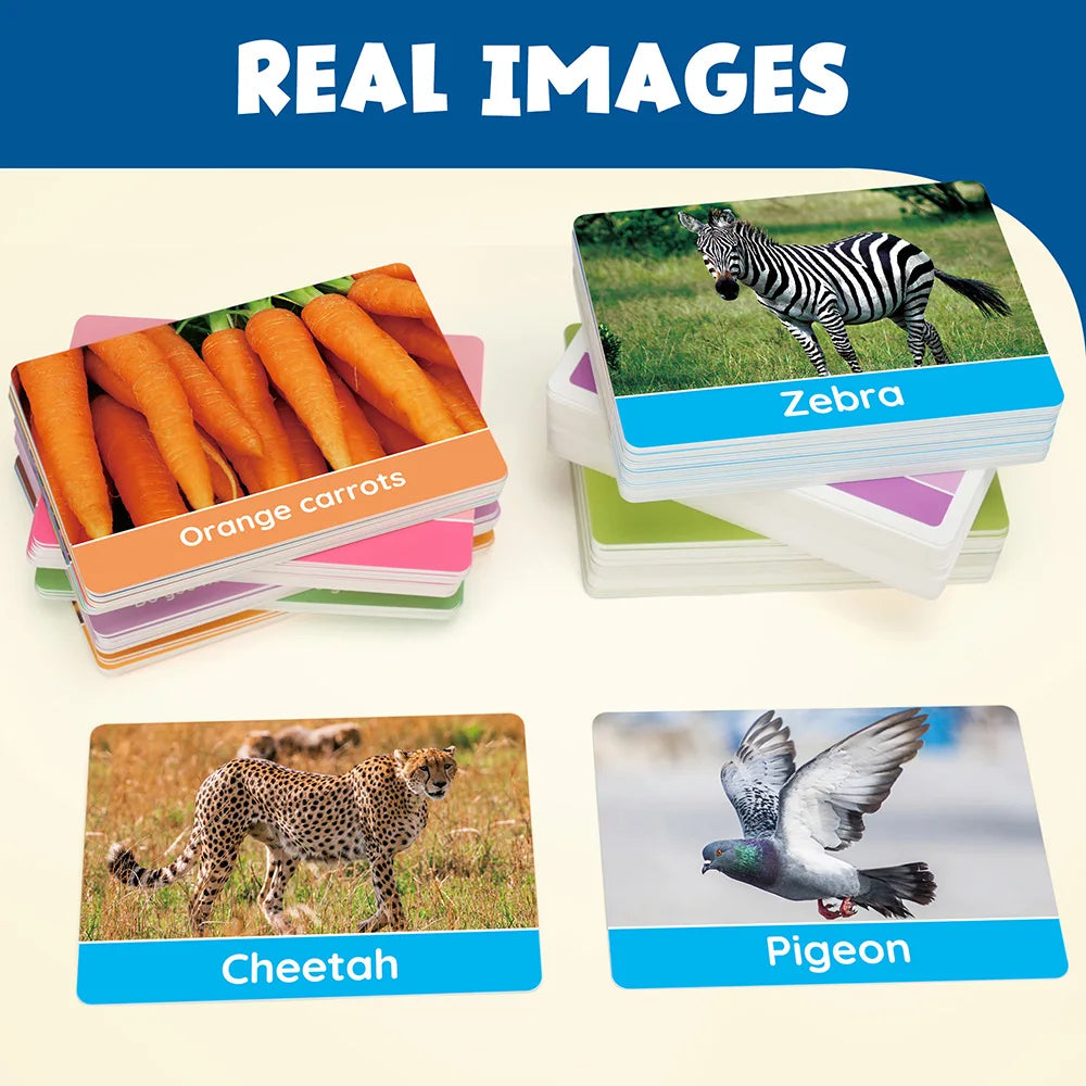 Double-Sided Educational Flashcards