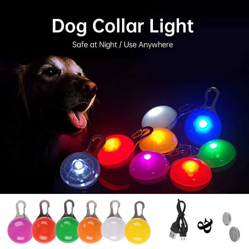 Led Dogs Collars