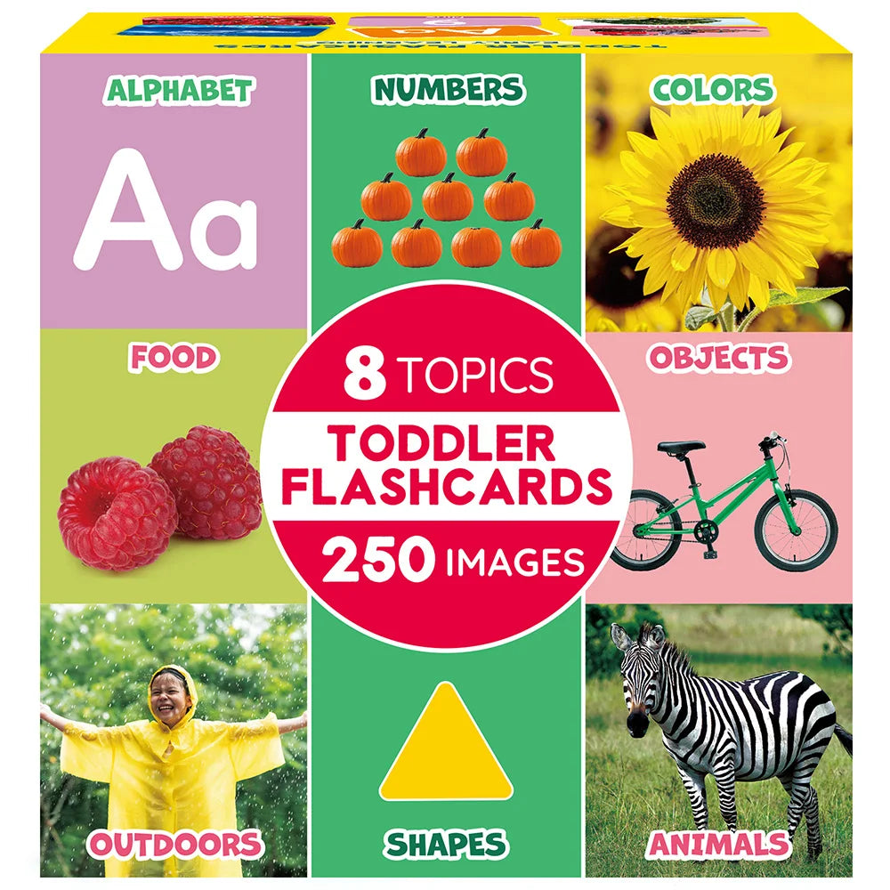 Double-Sided Educational Flashcards