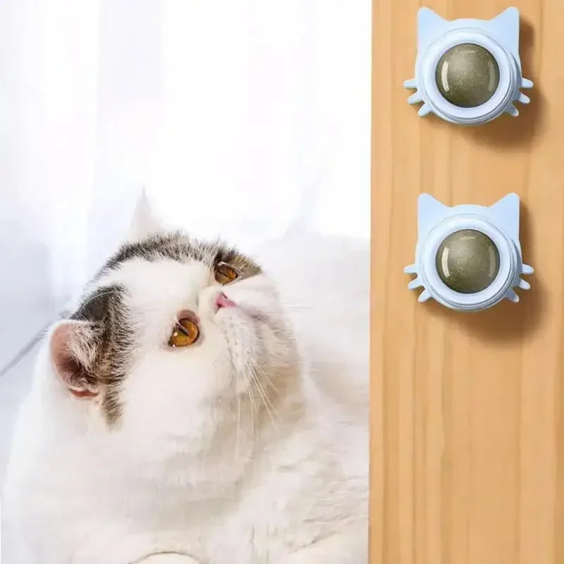 Catnip Balls Funny Lickable Cat Snack Catnip Balls Kitten Playing Chewing Cleaning Teeth Toy For Small Medium Cats Pet Supplies