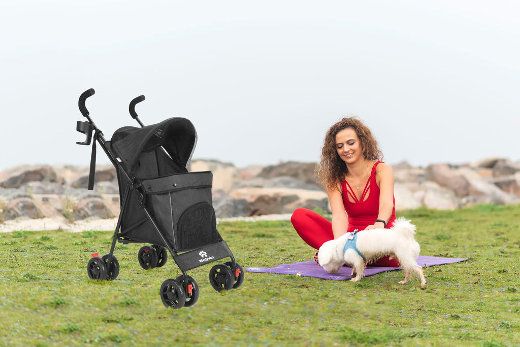 Pet Dog Stroller