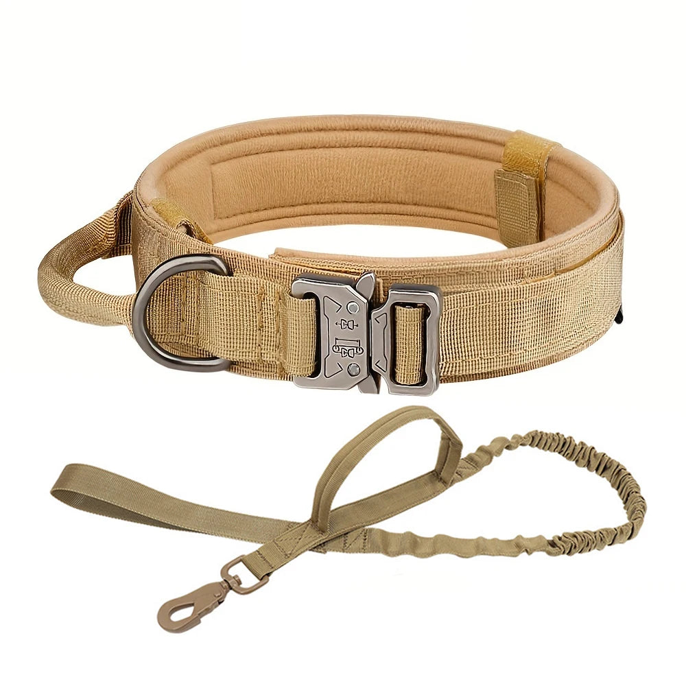 Dog Training Collar