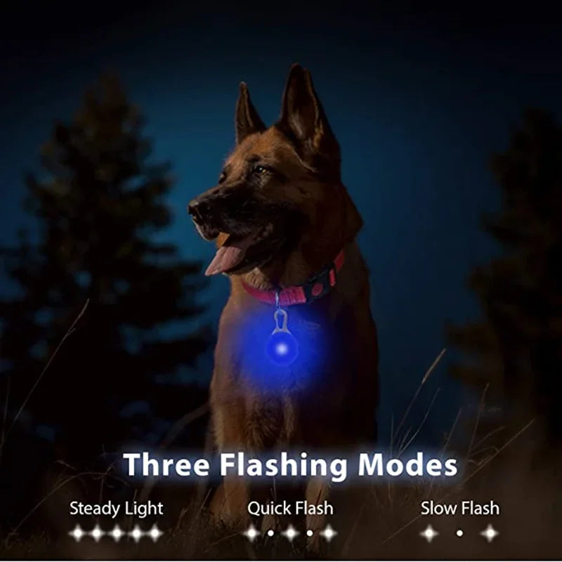Led Dogs Collars