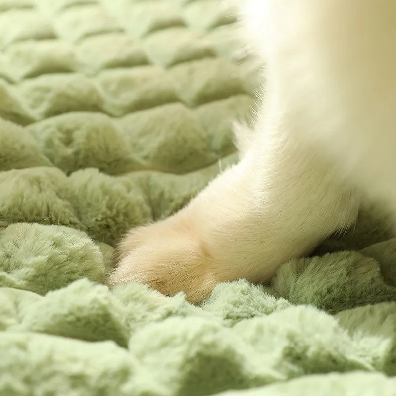 Dog Bed Mat