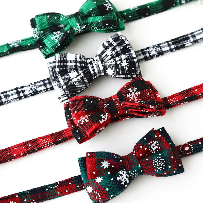 Bowknot Cat & Small Dog Collar