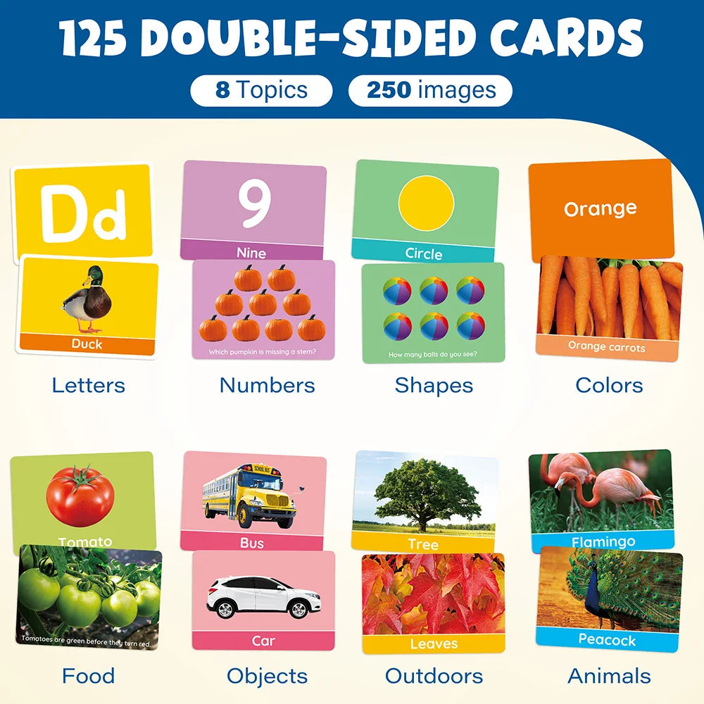 Double-Sided Educational Flashcards